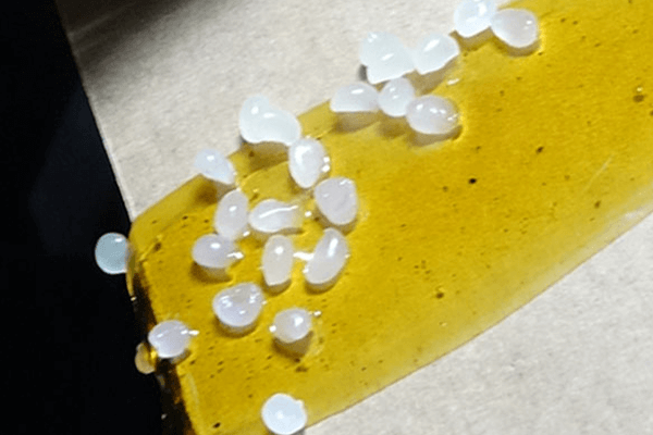White adhesive granules on yellowish adhesive surface